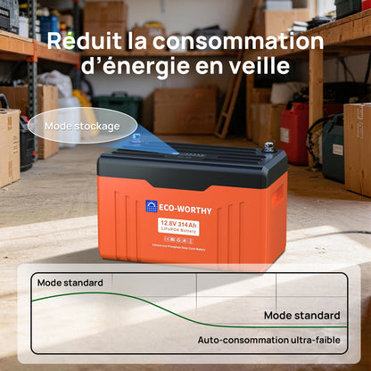 Eco-Worthy Batterie Lithium 12V 314Ah LiFePO4 Bluetooth Avec Indicateur LED - eco-worthy-fr