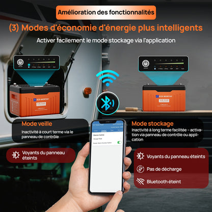 Eco-Worthy Batterie Lithium 12V 314Ah LiFePO4 Bluetooth Avec Indicateur LED - eco-worthy-fr