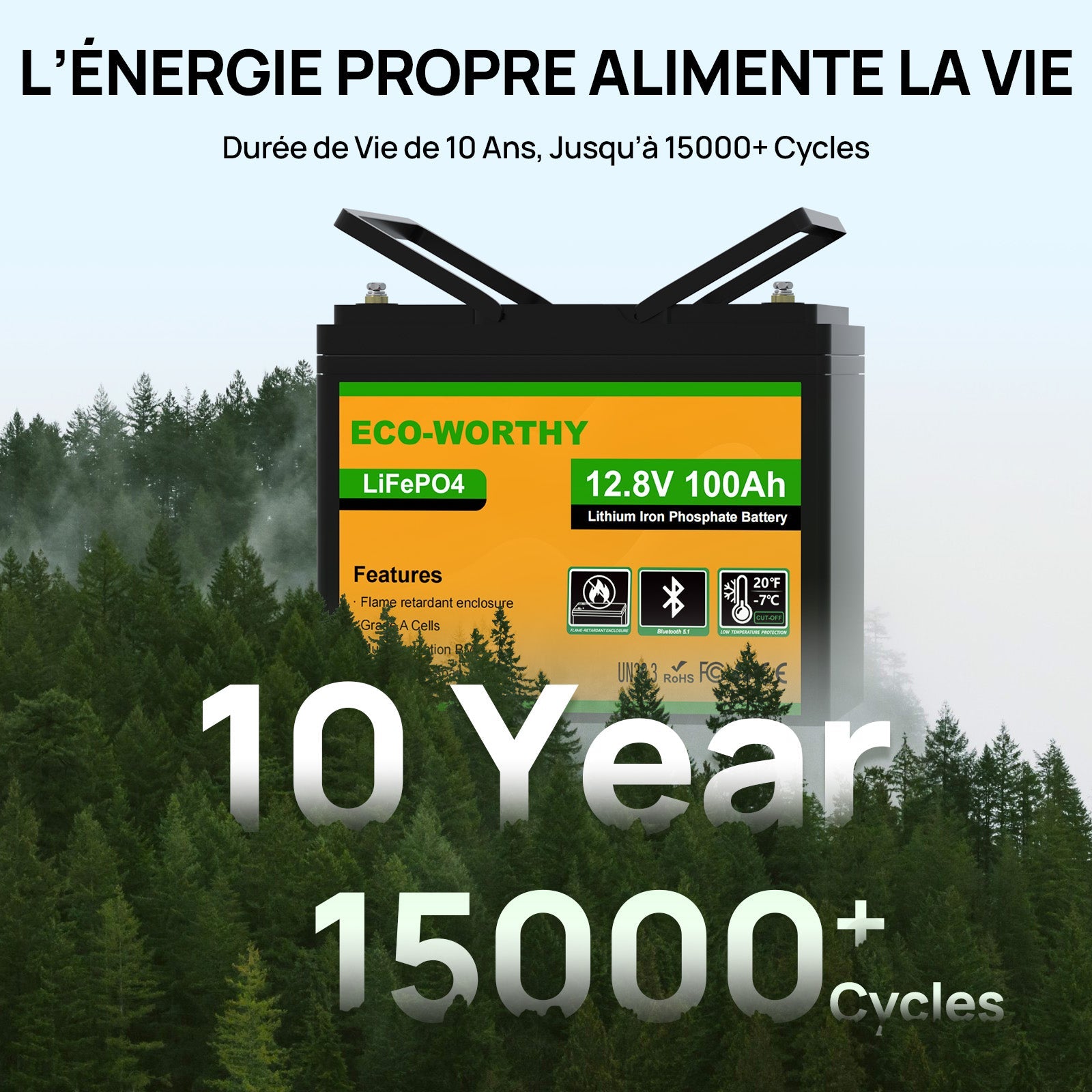 Eco-Worthy Batterie lithium LiFePO4 12V 100Ah avec Bluetooth-Prot. basse temp. - eco-worthy-fr