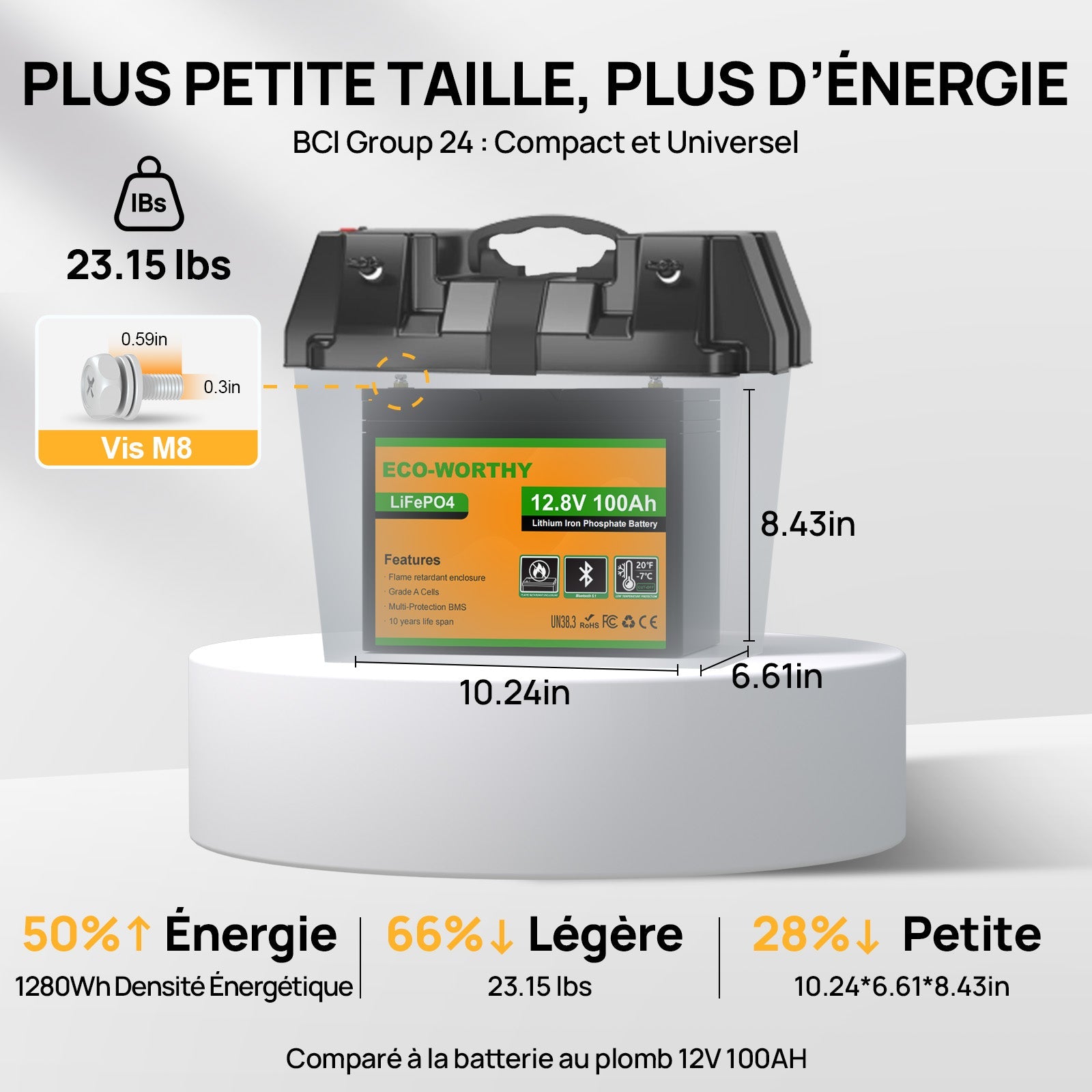 Eco-Worthy Batterie lithium LiFePO4 12V 100Ah avec Bluetooth-Prot. basse temp. - eco-worthy-fr
