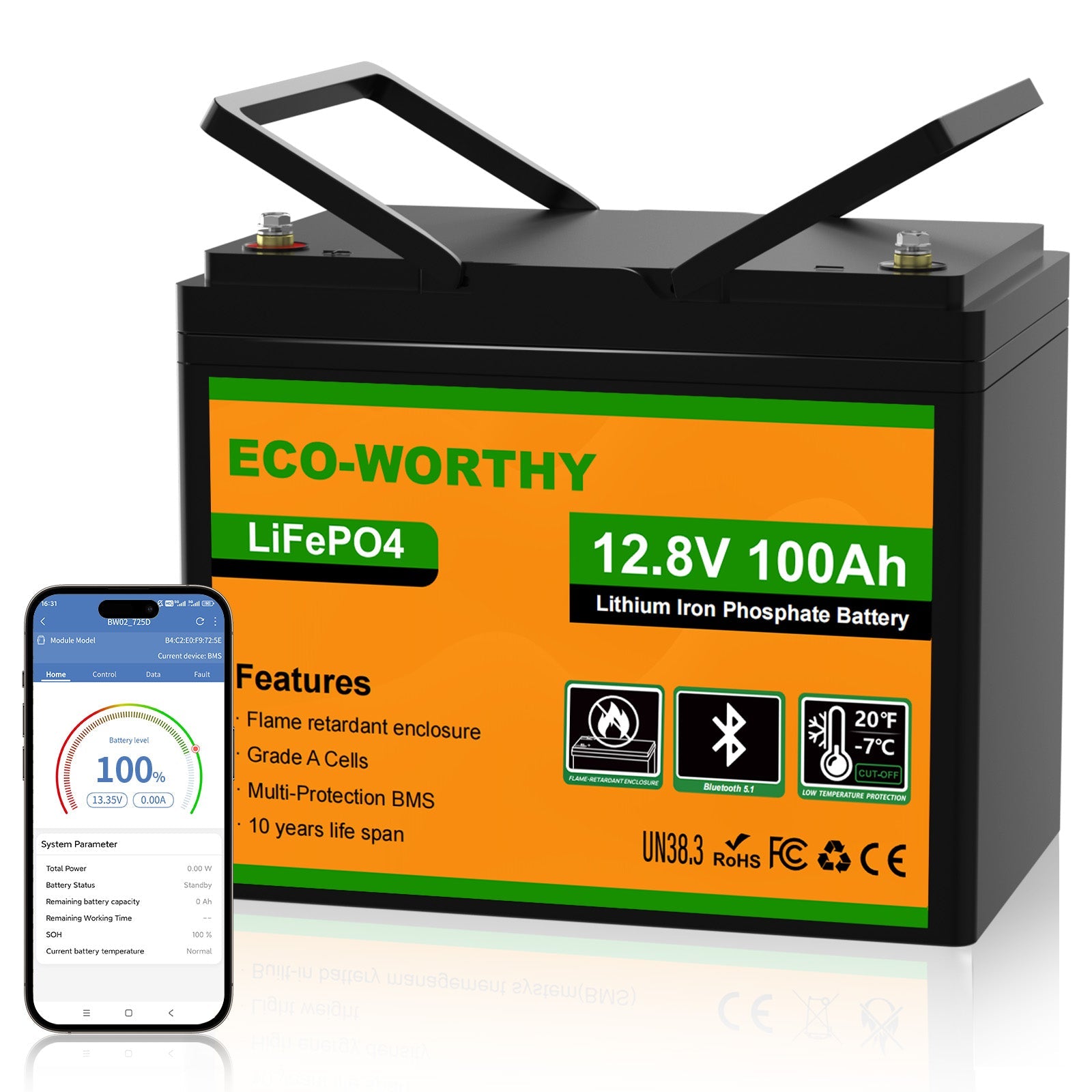 Eco-Worthy Batterie lithium LiFePO4 12V 100Ah avec Bluetooth-Prot. basse temp. - eco-worthy-fr