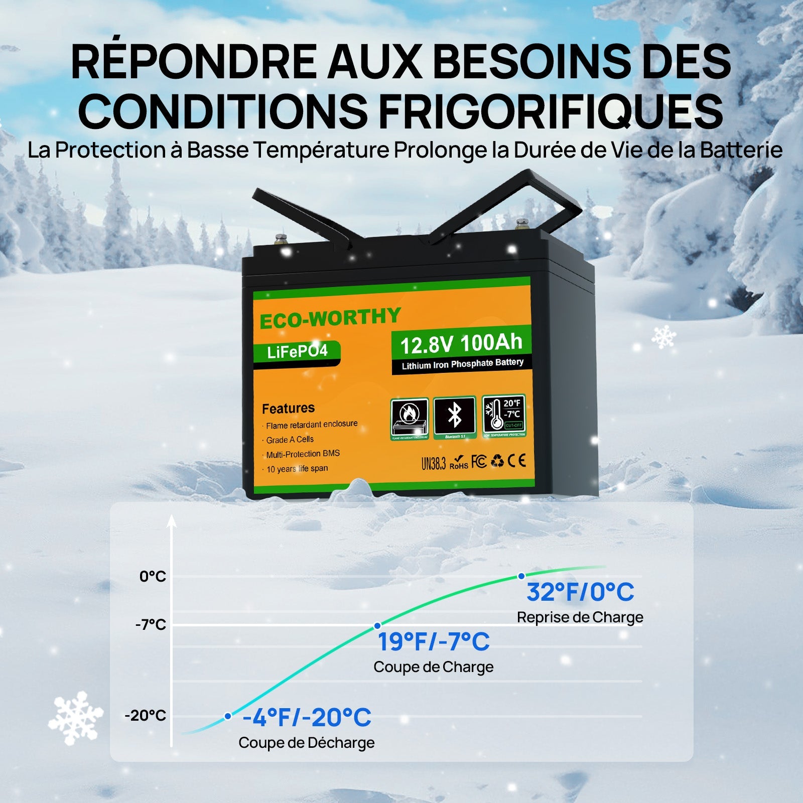 Eco-Worthy Batterie lithium LiFePO4 12V 100Ah avec Bluetooth-Prot. basse temp. - eco-worthy-fr