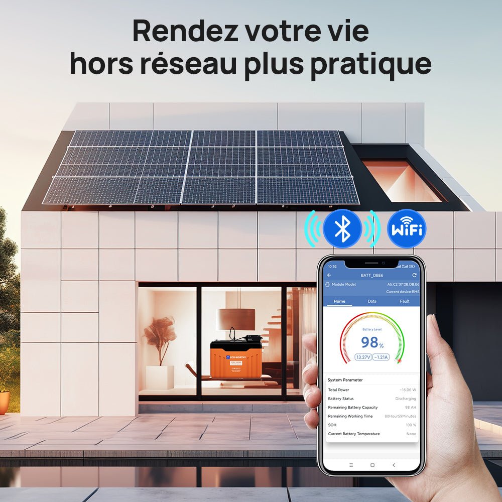 Eco-Worthy Batterie Lithium LiFePO4 12V 100Ah Bluetooth avec écran LED SOC | Boîtier ignifuge - eco-worthy-fr