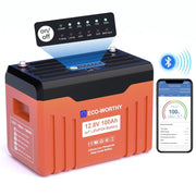 Eco-Worthy Batterie Lithium LiFePO4 12V 100Ah Bluetooth avec écran LED SOC | Boîtier ignifuge