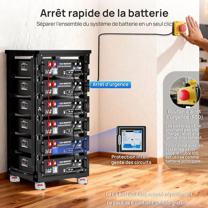 Eco-Worthy CUBIX100 Batterie LiFePO4 Rackable 48V 100Ah | IEC 62619 et Garantie 10 ans - eco-worthy-fr