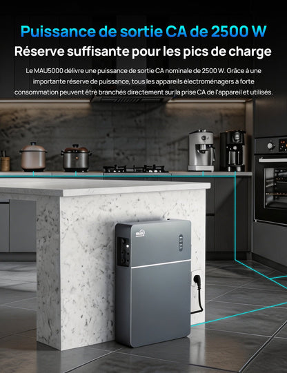 ECO-WORTHY TSOL-MAU5000 5,12 kWh Batterie Balcon Plug & Play AC Coupled Stockage de | Puissance de 2500 W - eco-worthy-fr