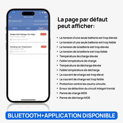 eco-worthy Bluetooth APP page default page information display