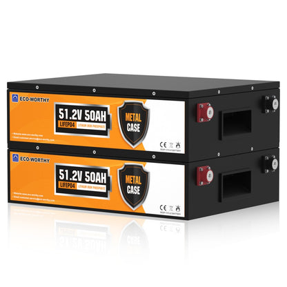 Eco-Worthy Batterie lithium LiFePO4 48V 50Ah
