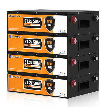 Eco-Worthy Batterie lithium LiFePO4 48V 50Ah