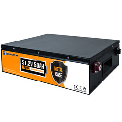 Eco-Worthy Batterie lithium LiFePO4 48V 50Ah
