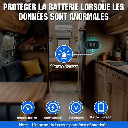 Moniteur de batterie à écran tactile 300A 3.5" avec capteur Hall pour batteries AGM et lithium (LiFePO4) - eco-worthy-fr
