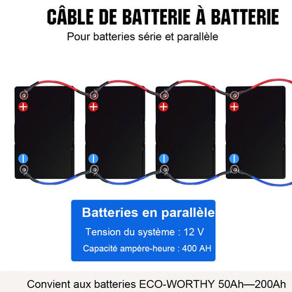 Câble d'interconnexion de batterie - eco-worthy-fr