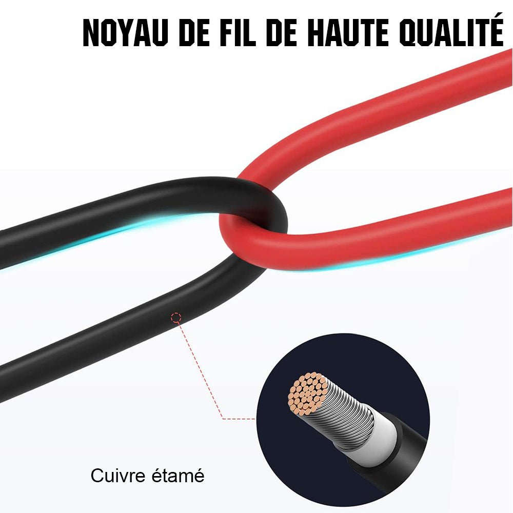Câble d'interconnexion de batterie - eco-worthy-fr
