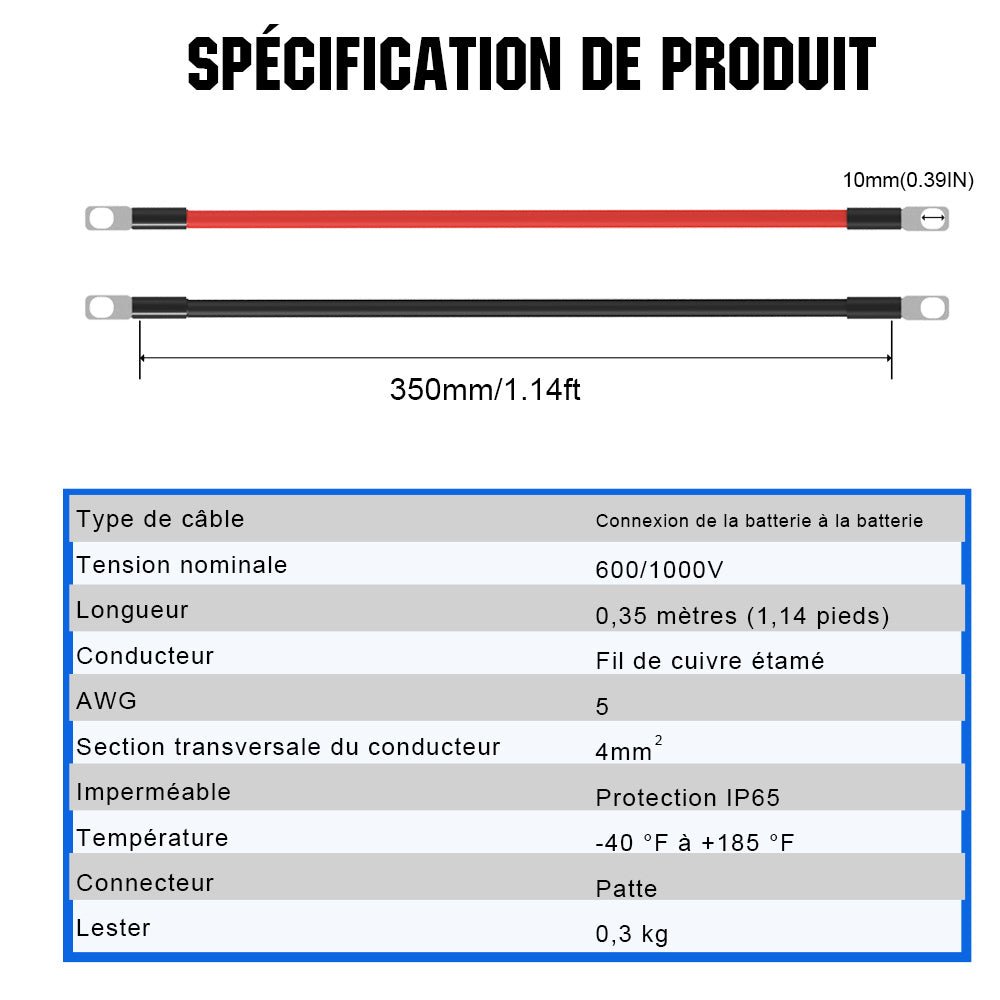 Câble d'interconnexion de batterie - eco-worthy-fr