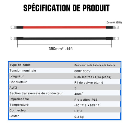 Câble d'interconnexion de batterie - eco-worthy-fr