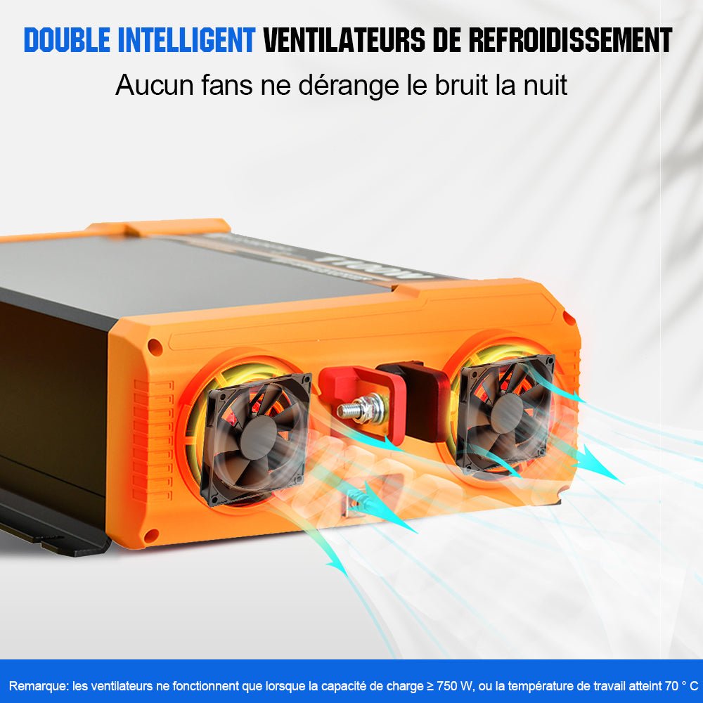 Onduleur pour site isolé du réseau pur sinus 1100VA 12V à 230V - eco-worthy-fr